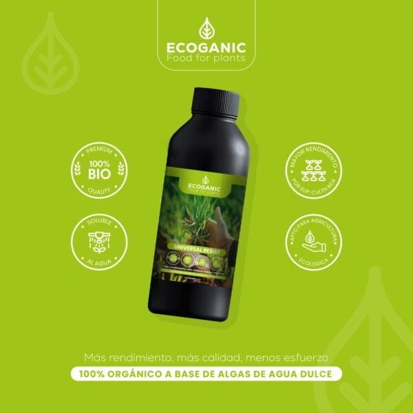 “organic liquid biostimulant Ecoganic UNIVERSAL POWER”